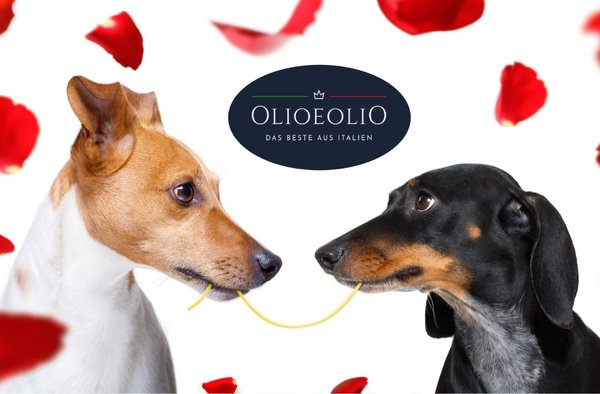Zwei sich liebende Hunde OlioeoliO