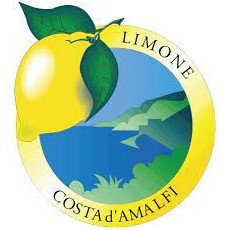Amalfi Zitronen Limone Costa d'Amalfi IGP ca. 1 kg